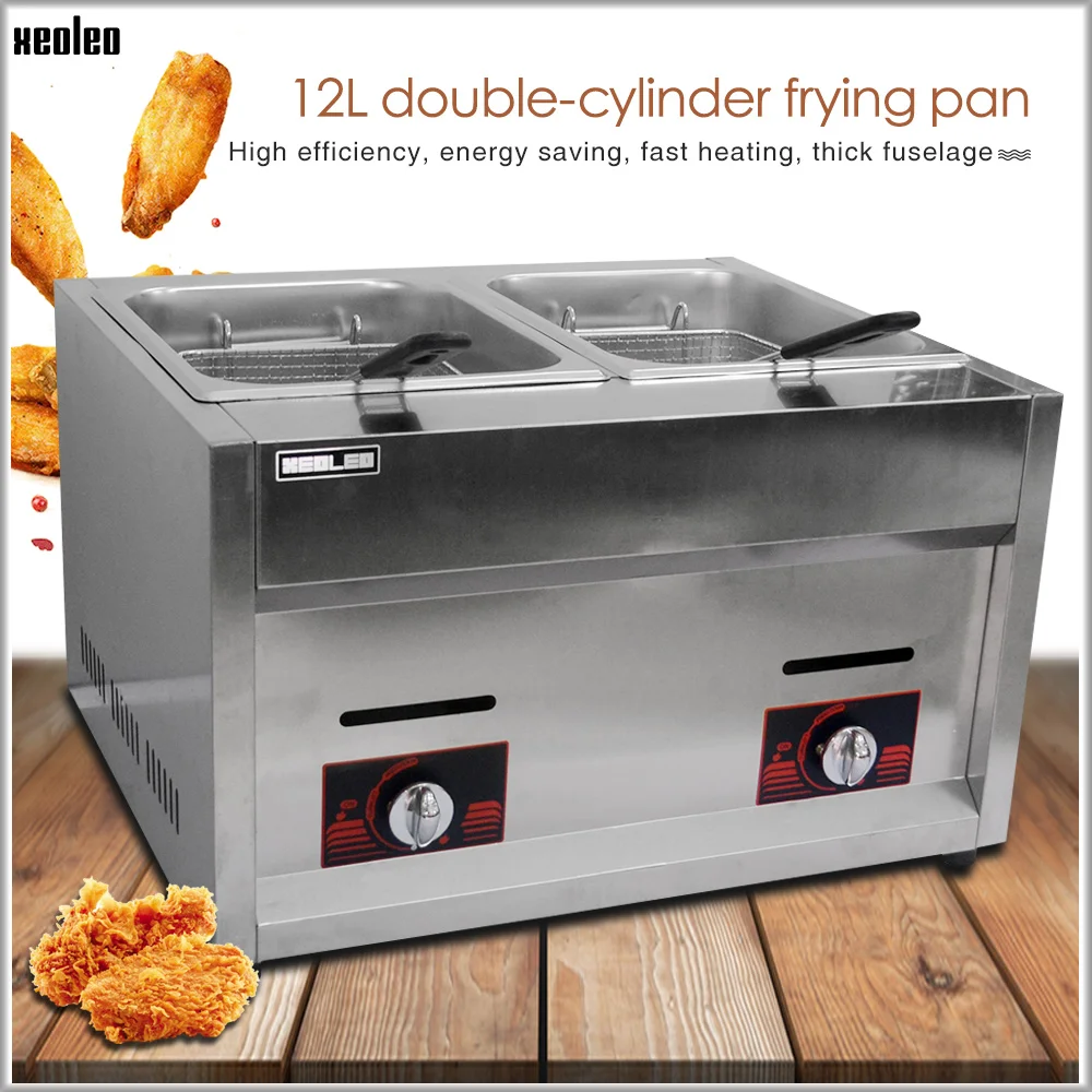 Buy XEOLEO Commercial gas fryer LPG Stainless steel