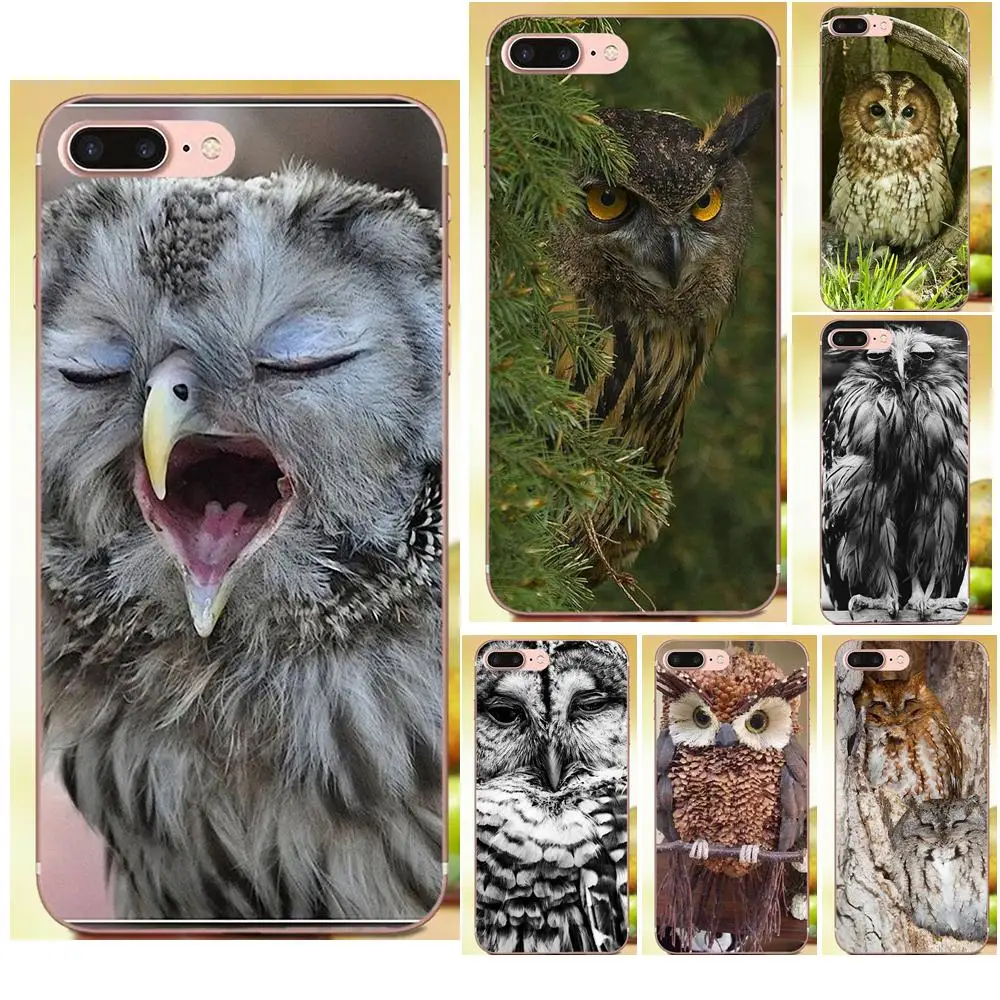 High Quality Owl On Mint TPU Hipster Case For Huawei Mate 7 8 9 10 P7 P8 P9 P10 P20 Lite Plus Pro GR5 P Smart 2017 | Мобильные