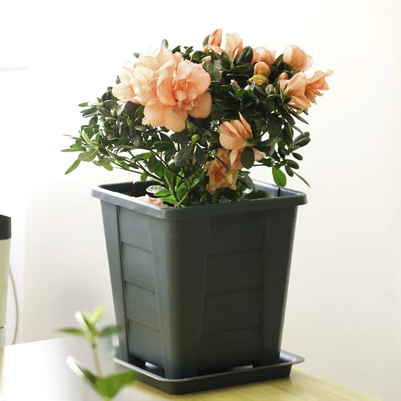 

Square Plastic Root Pot Breathable Potted Green Potted Succulent Plant Flowerpot Desktop Bonsai Container Garden Home Decor Gift
