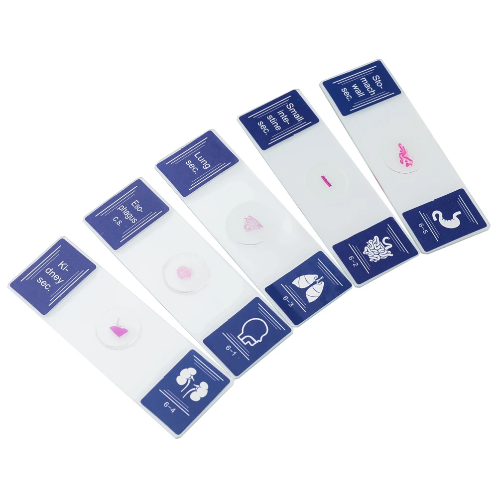 Cigovd 35 Piece of Colorful Microscope Specimens Biological Specimen Slides Primary and Secondary Gifts Cigovd 35 Piece of Colorful Microscope Specimens Biological Specimen Slides Primary and Secondary Gifts