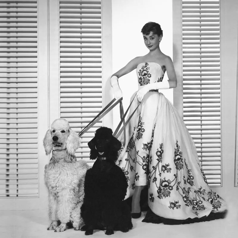 Audrey Hepburn Black And White Classical Stunning Embroidery