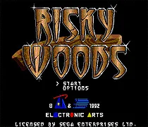 

Risky Woods 16 bit MD Game Card For 16 bit Sega MegaDrive Genesis game console