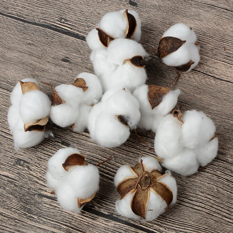 

10Pcs Natural Cotton Balls Dry Flower Wedding Dried Flowers Plants Party Birthday Hotel Courtyard Decoration Flowers For Crafts
