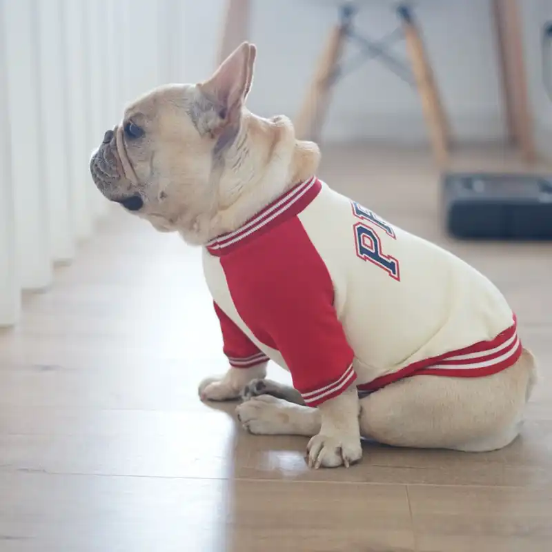 Mpk犬冬服 Prpjセーターフレンチブルドッグ パグ 暖かい犬スポーツウェア Dog Hoodies Aliexpress