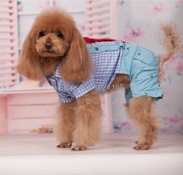 2016_Hot_sale_New_Spring_Pet_dog_clothes_College_Style_pet_Jumpsuit_Pants_Puppy_dog_Bib_clothes_Lovely_Four-legs_clothes_2