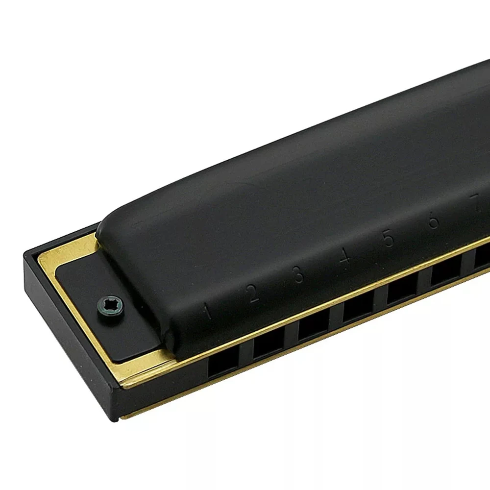 Hohner Pro Harp MS Diatonic Губная гармошка 10 отверстий 20 тонов рта инструменты Ключ C