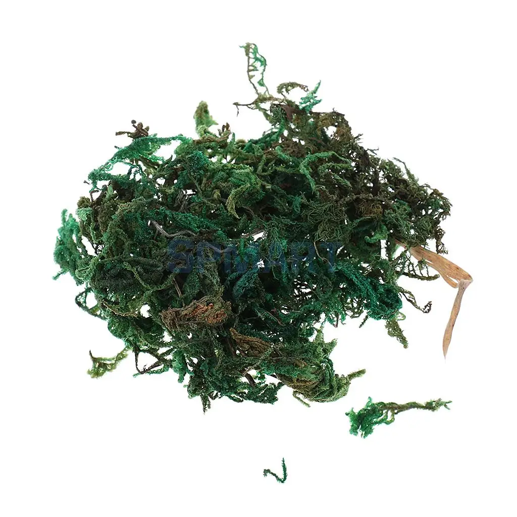 100ML/500ML Dry Grass Model Moss for Layout Terrain Vegetation Diorama Building Toy