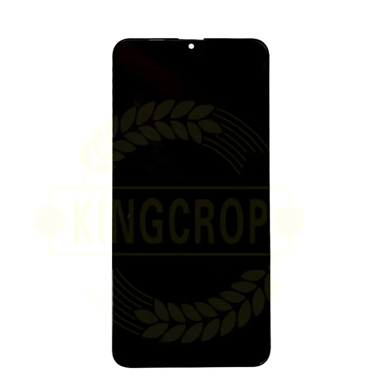 SAMSUNG  m10 lcd 165  2