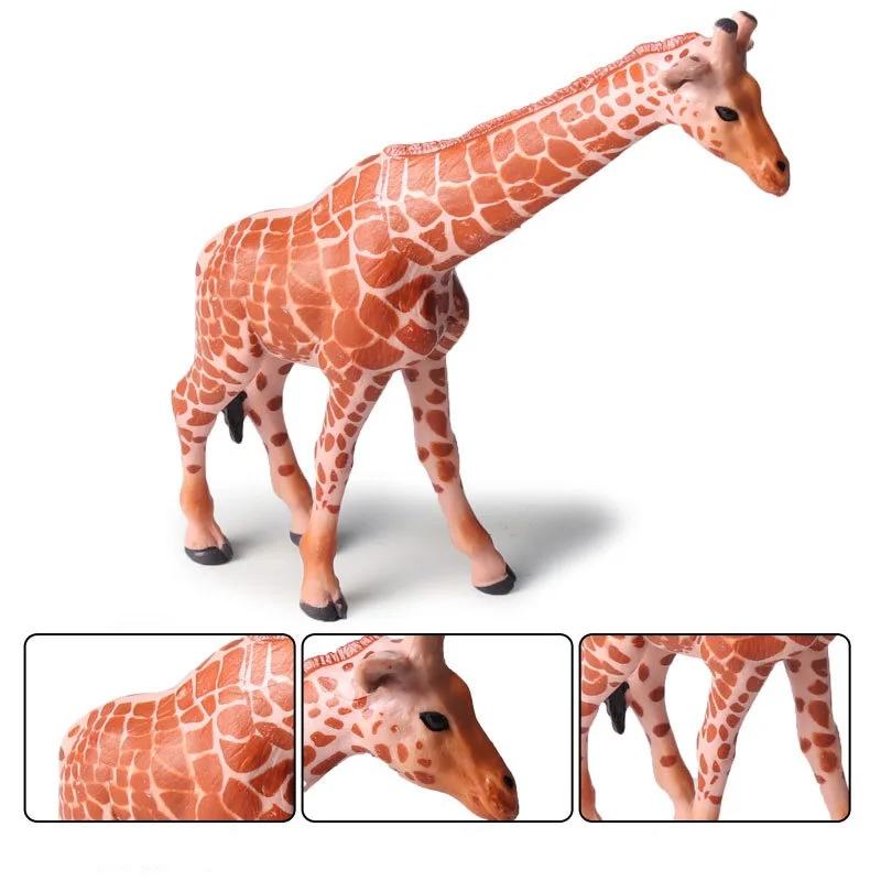 giraffe (1)
