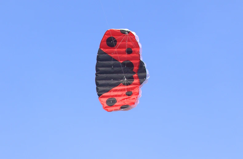 1c