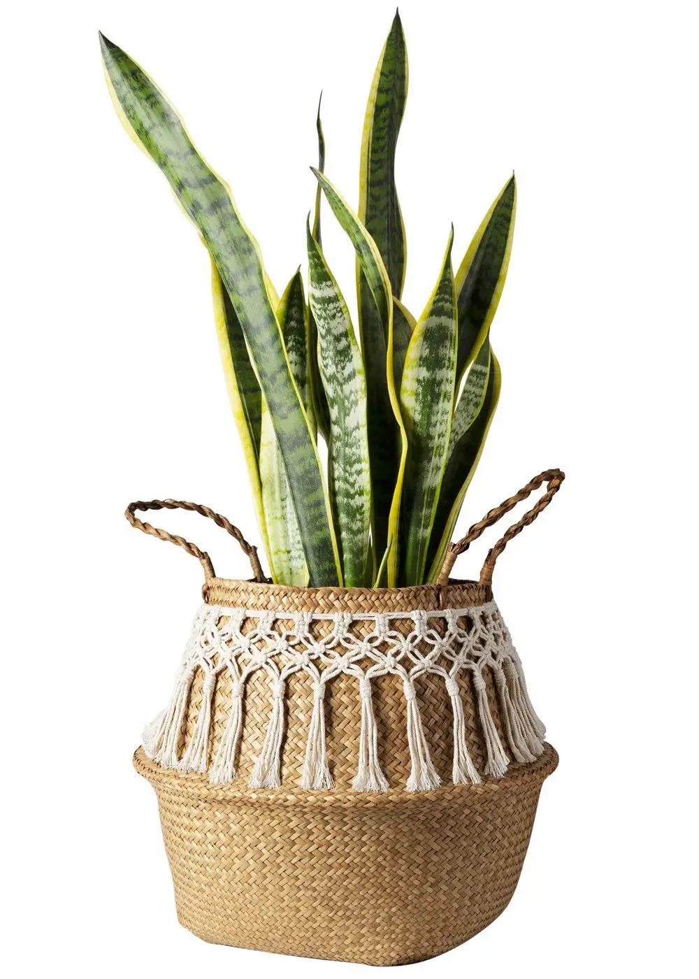 Beli 32X30 Large Woman Foldable Dekoratif Keranjang Taman Pot Bunga Keranjang Rotan Rumah Organisasi Laundry Basket