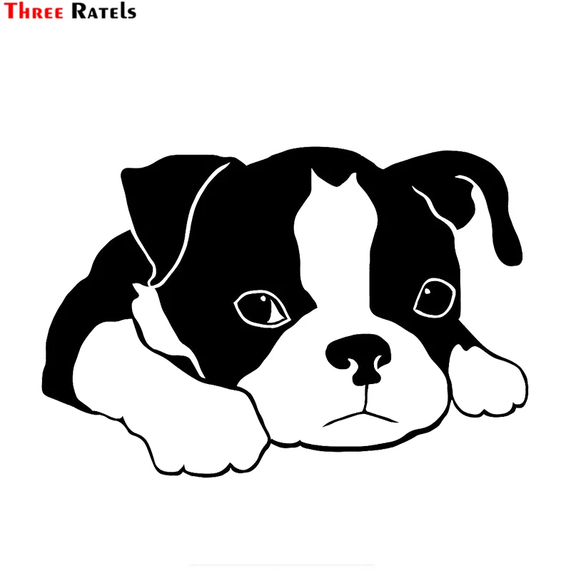 

Three Ratels TZ-1890# 15x22cm boston terrier car sticker funny car stickers styling removable decal