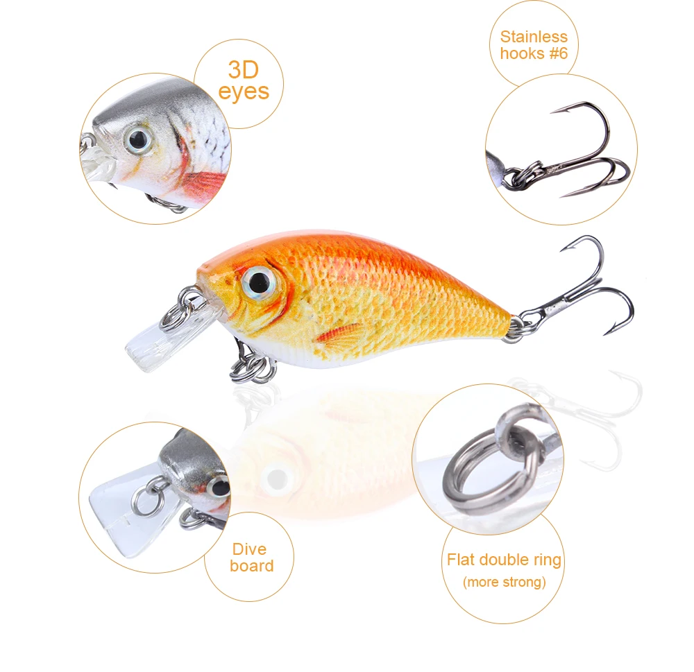 Fish Tackle