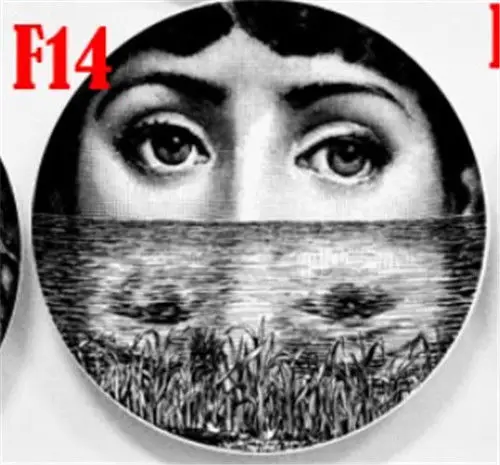 Италия Милан креативная узор rosenthal Piero fornasetti пластины керамика Настенная Декорация рирпроекционный фон Nordic Стиль - Цвет: F14