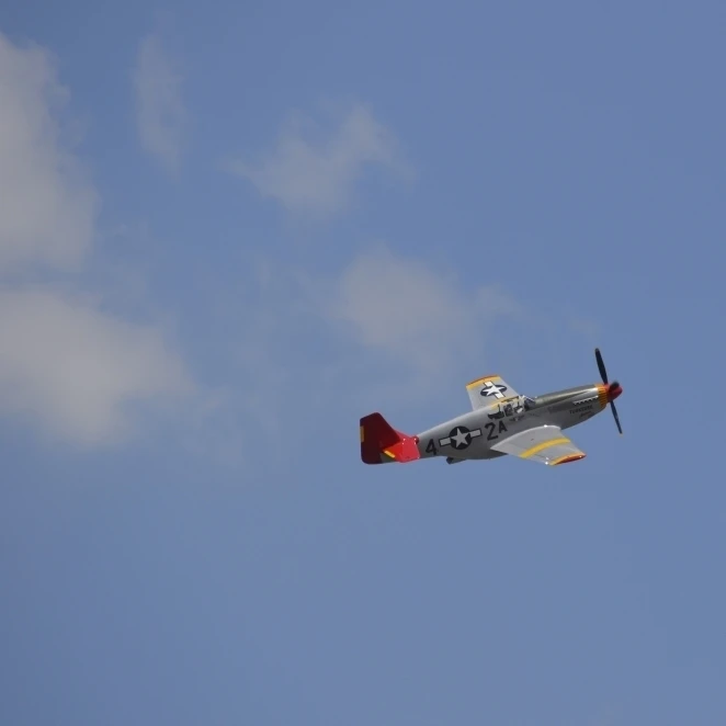 A restored P-51 Mustang associated with the Tuskegee Airmen Poster Print (17 x 11)