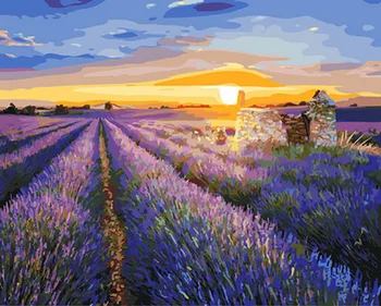 

Unframe diy picture oil paintings by numbers paint by number for home decor canvas painting 5065cm lavender field