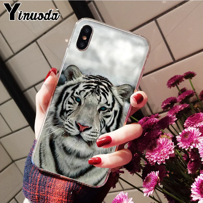Anime tiger