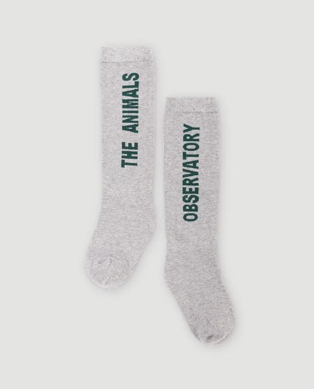 IMG_6543