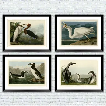 

cotton no frame realist Audubon birds fish scenery canvas printings oil painting printed on cotton wall art decoration picture