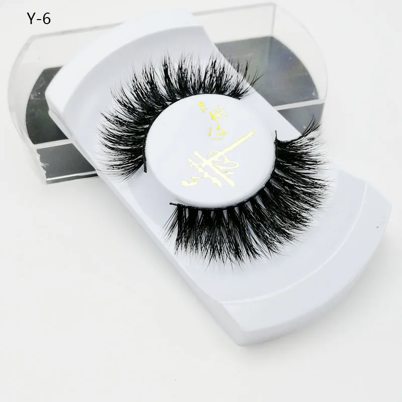 Y6 (1)