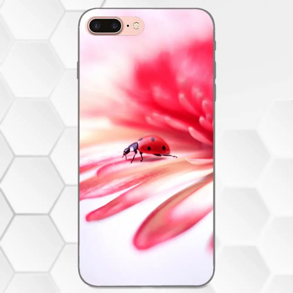 Милые красные Леди Баг для Huawei Honor Enjoy Mate Note 6s 8 9 10 20 Lite Play Pro P smart мягкие чехлы