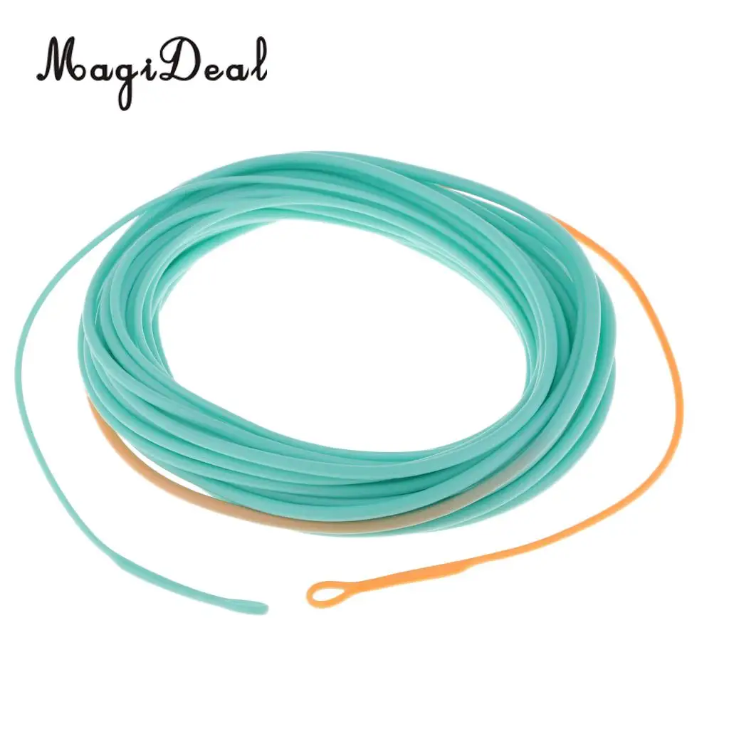 Skagit Shooting Head Fly Line 200gr-650gr 17FT-25FT Floating Fly Fishing Line with 2 Welded Loops