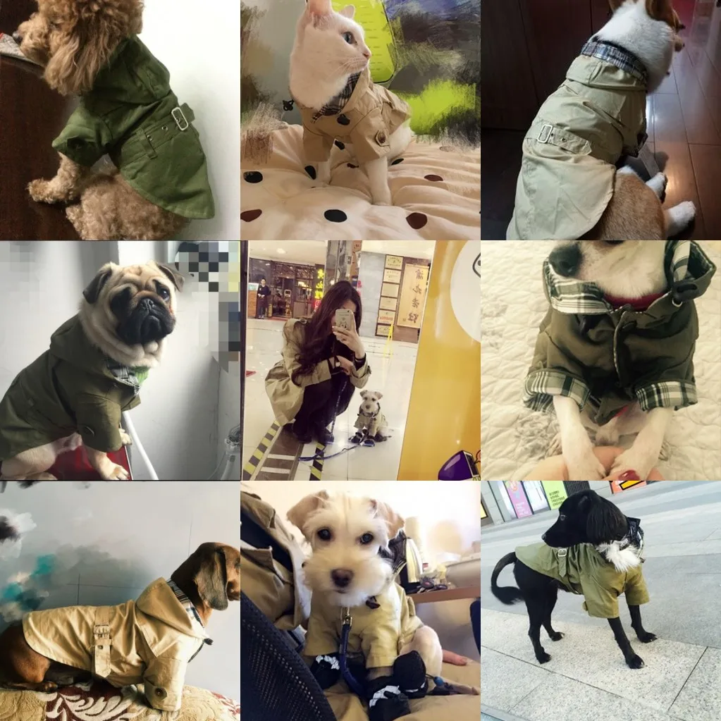 Petalk весна осень Собака куртка хлопок качество Pet плащ Одежда для домашних животных XS s m l xl XXL