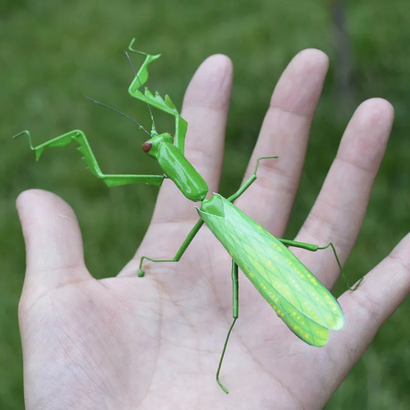 Material de Argila da Arte Pces Lote Popular Inseto Artificial Modelo Artesanato Artesanal Figura Sólida Mantis Mm-012 50 - um 2 Brinquedos e hobbies