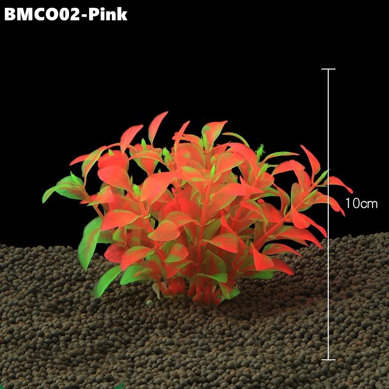 BMCO02 (3)