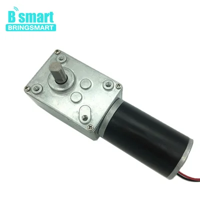 Bringsmart бесщеточный 12V 24V червячок для коробки передач мотора постоянного тока Реверсивный электрический мини-мотор с встроенной функцией спуска затвора микро турбинный червячный редуктор