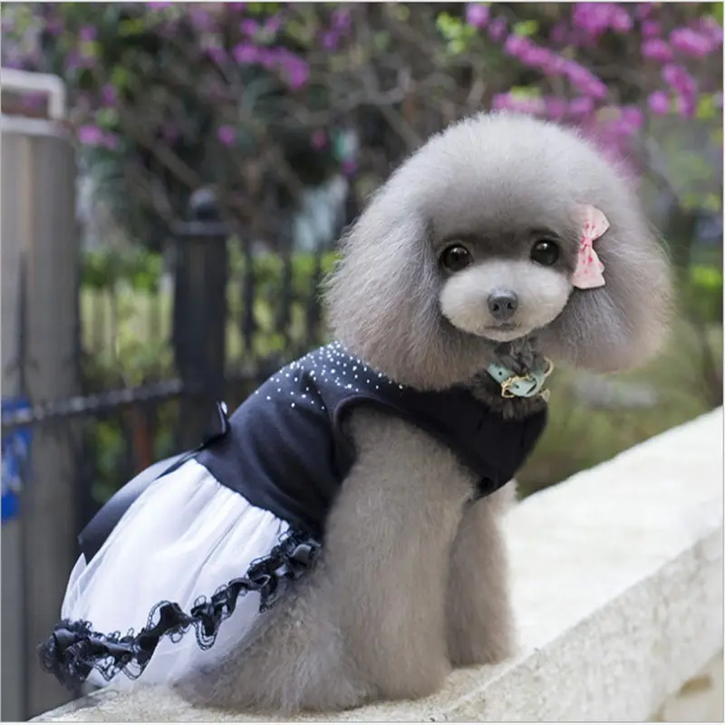 QQ20190108174547