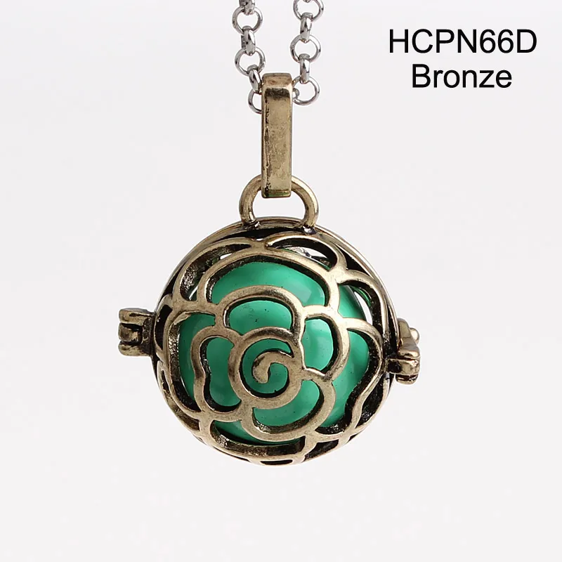 HCPN66D-1