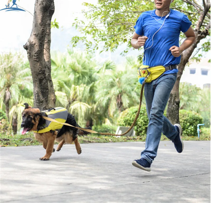 pet carrier 04