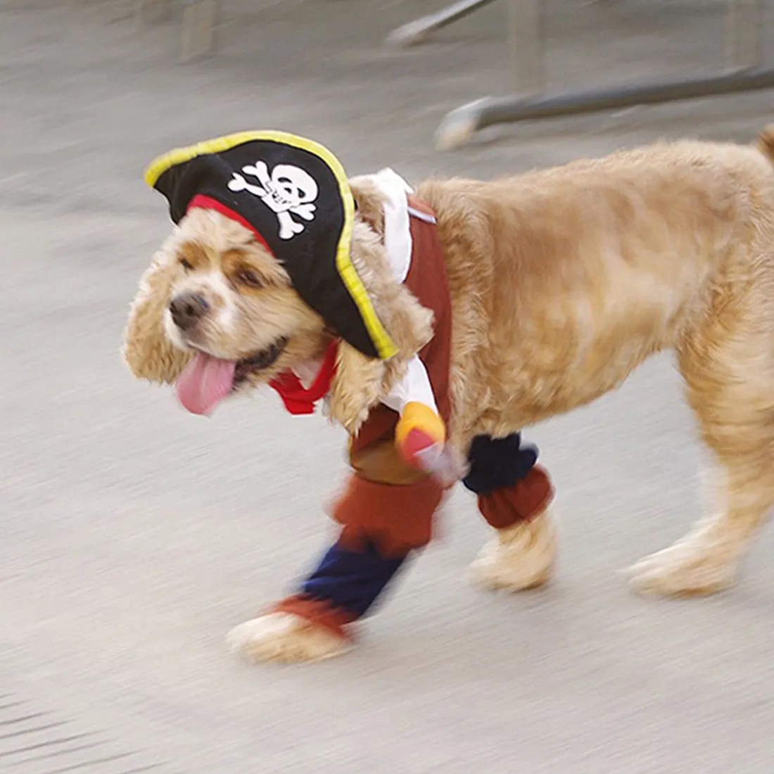 Забавный костюм с котом пиратский костюм одежда с котом костюм для Хэллоуина Костюм для щенка нарядная одежда для кошки