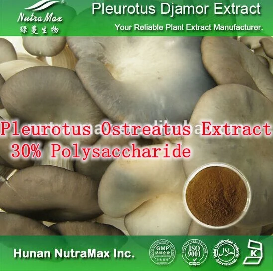 

1Pack Pleurotus Ostreatus Extract 30% Polysaccharide 500mg x 300caps help digest and action ability, reduce cholesterin