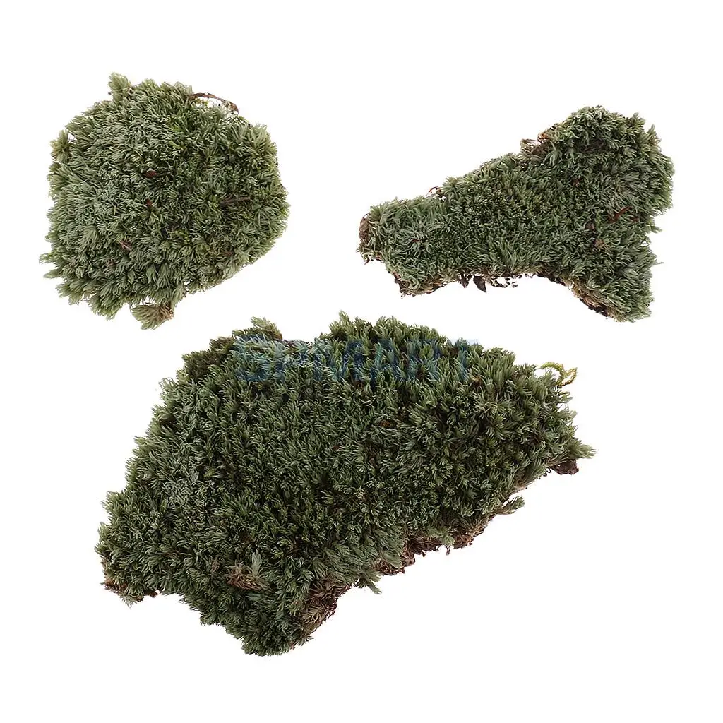 

Green Lichen Moss Model Layout for 1/35 Scale Military Armor Landscape Props