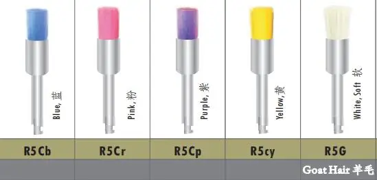 r51