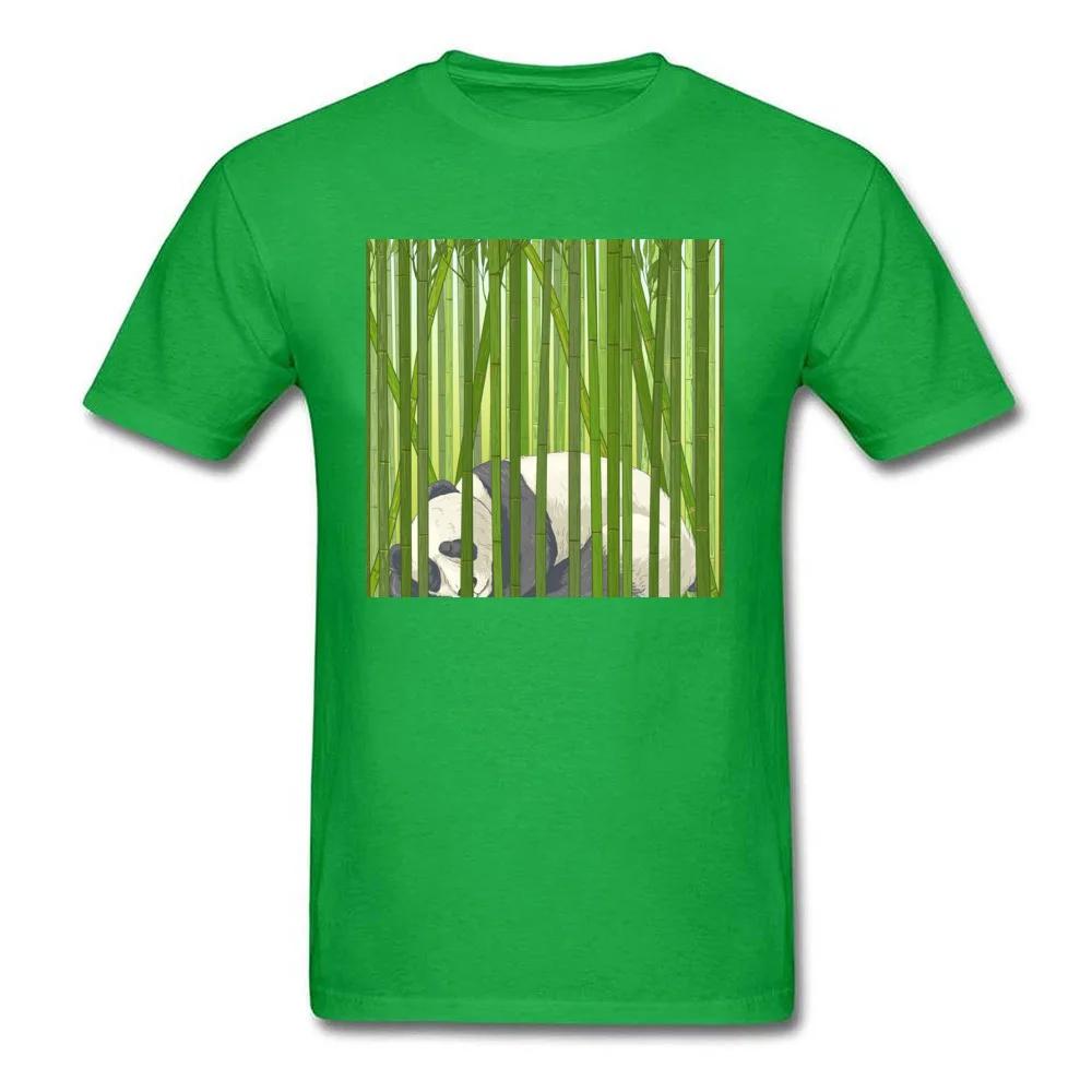 Sleeping Panda_green