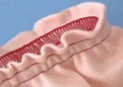 TB2c5I.aXXXXXccXXXXXXXXXXXX_!!35260582