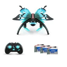 JJR/C JJRC H42WH бабочка Дрон с камерой wifi FPV 0.3MP HD Квадрокоптер g-сенсор Мини RC селфи Дрон Extra te 2 дополнительная батарея