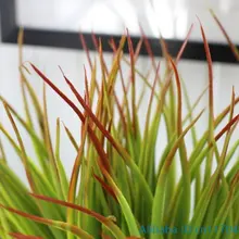 1 шт. Искусственный пластик красный топ зеленый длинные листья трава растение для украшения дома F371