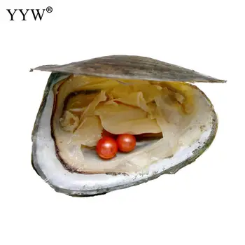 

15pcs/lot Freshwater Cultured Pearl Oyster 7-8mm Potato Akoya Pearls In Oyster Mixed Color Twins Wish Pearl Oyster Vacuum-Packed