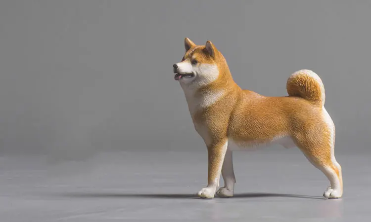 未标题-8