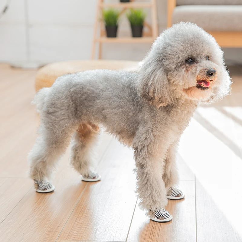 LP1
