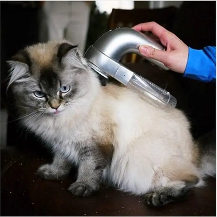 Вычесать Кота Профессионально Цена