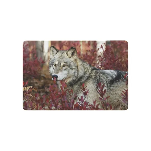 1556 25 De Réductionanimal Tapis De Porte Anti Dérapant Gris Loup Dans Beau Feuillage Rouge Intérieur Extérieur Entrée Paillasson Caoutchouc