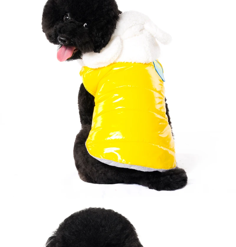 12 dog clothes winter 