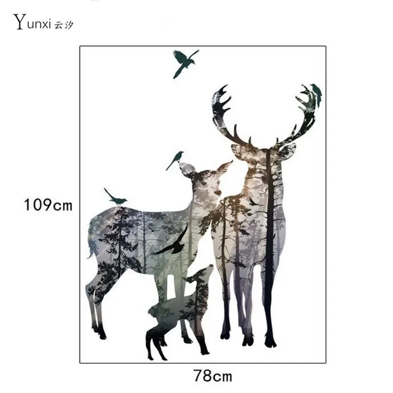36020170610161450832