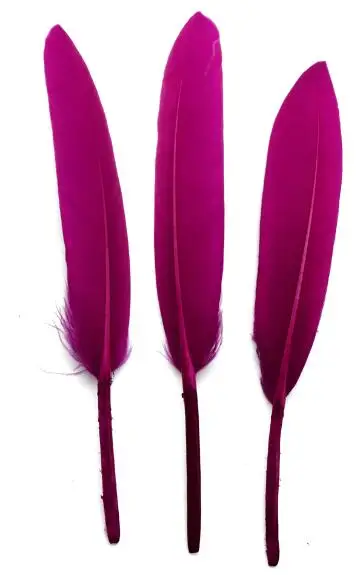 24 шт./лот, цветные окрашенные гусиные перья, крылья, сделай сам, ювелирные изделия, серьги, индийский головной убор, вечерние украшения, Плюм, IF55 - Цвет: rose