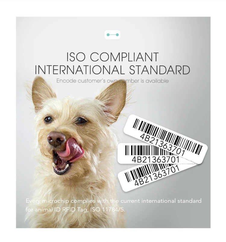 2x12mm animal syringe (13)